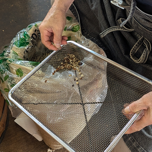 欠点豆と異物混入の確認